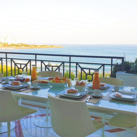 TERRAZA 2 580x580