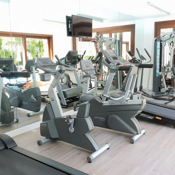 GIM 2 580x580